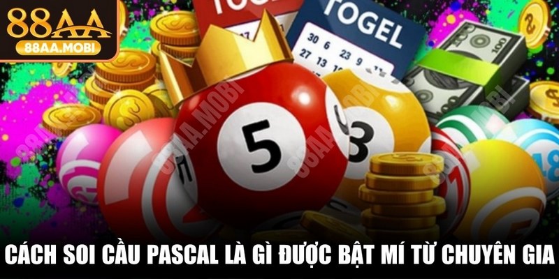 Cách soi cầu Pascal là gì được bật mí từ các chuyên gia